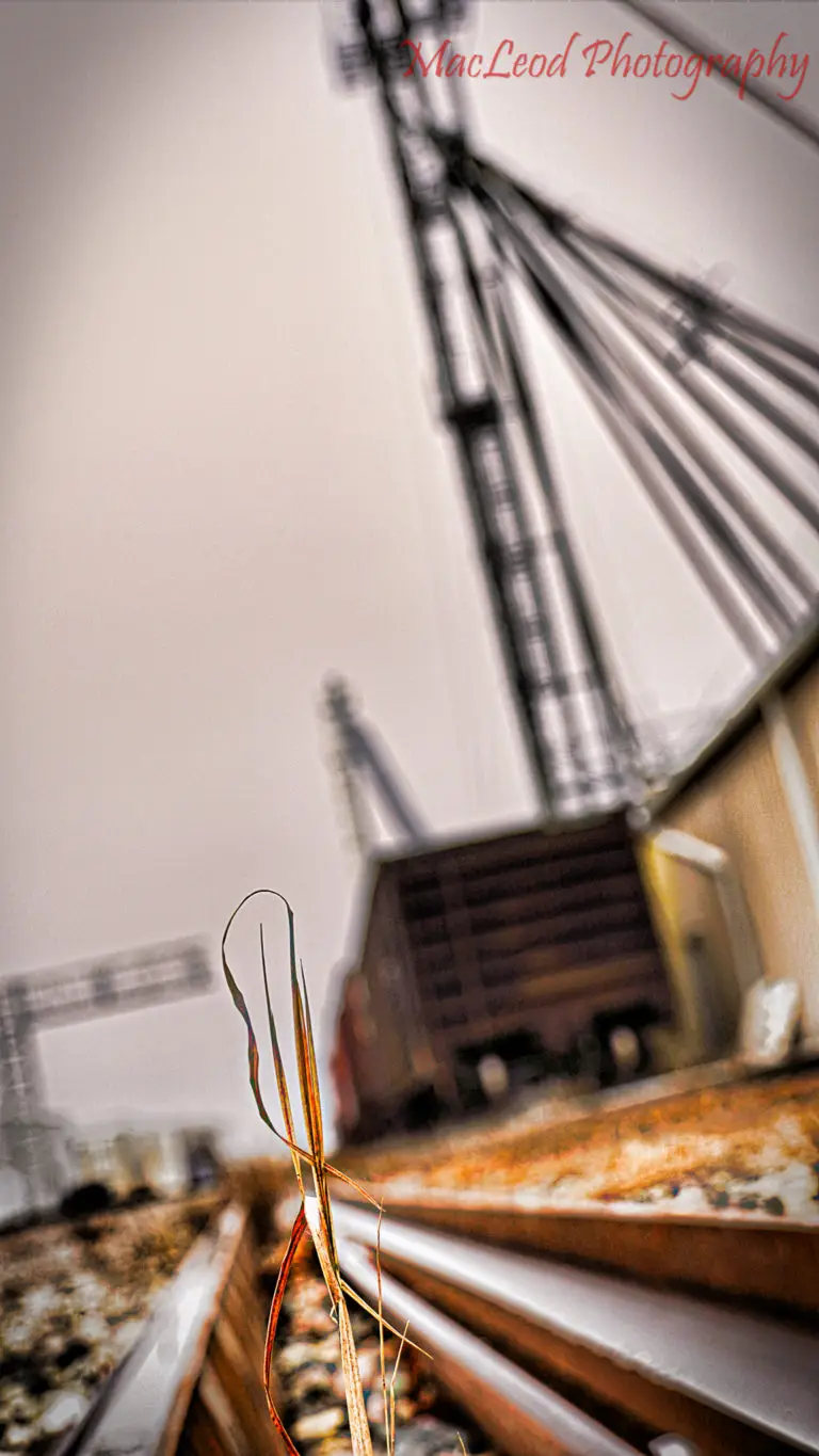 167728965_3891998697560255_1582252684742614043_n